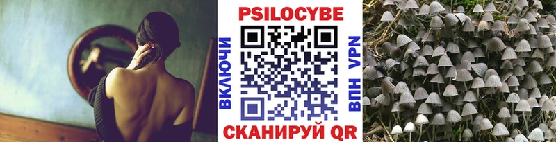 OMG ТОР  Калининград  Псилоцибиновые грибы MAGIC MUSHROOMS 